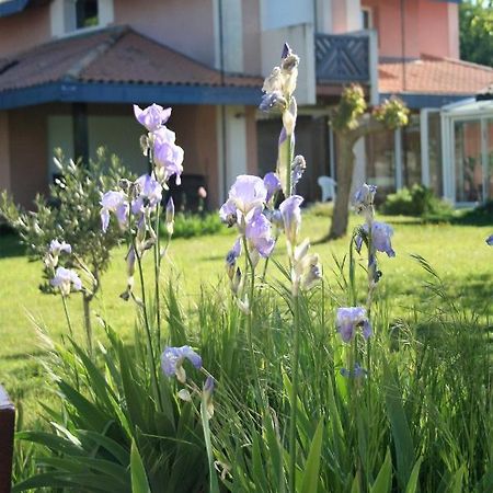 Villa Helianthe 오덴쥐 외부 사진