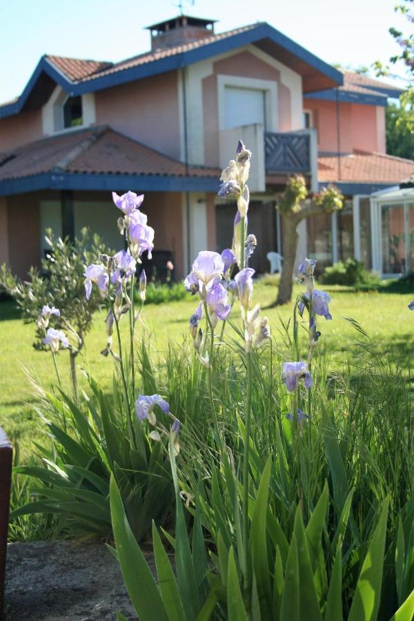 Villa Helianthe 오덴쥐 외부 사진